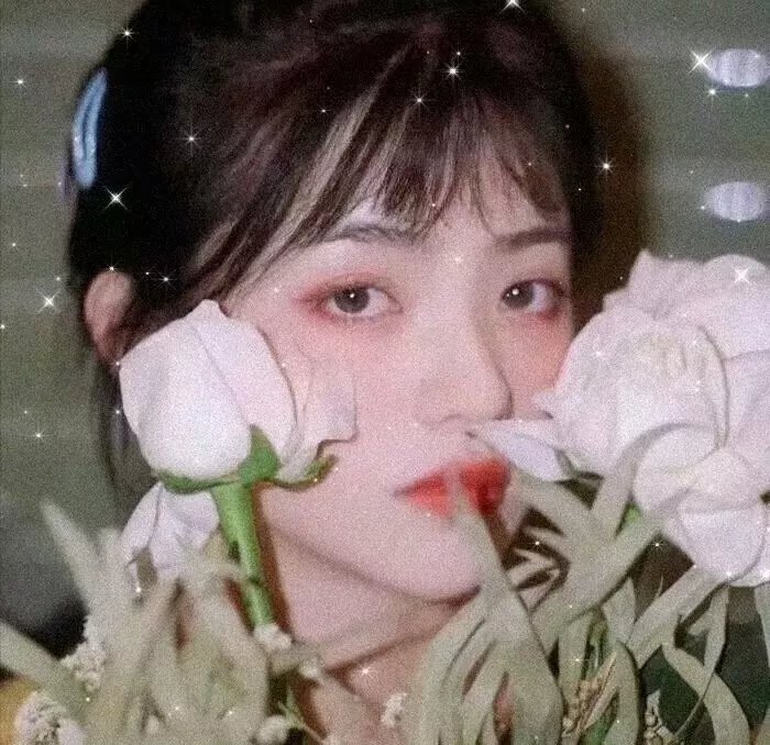 另一个大家伙